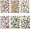 240PCS Waterproof Flowers Leaves Stickers for Scrapbook (Clear) 4.3 x 3.6 x 0.8 inches